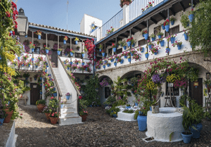 Sede C/ San Basilio, 44