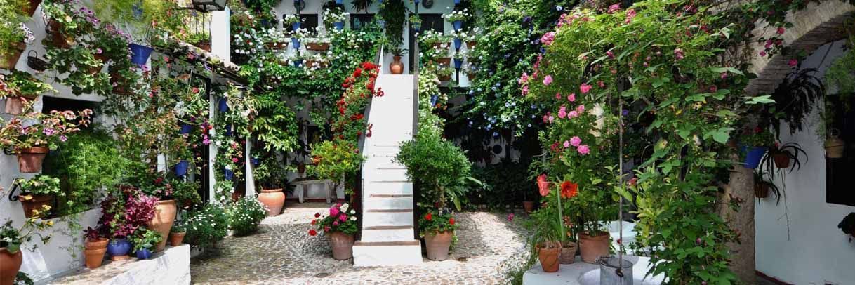 Patio San Basilio, 44