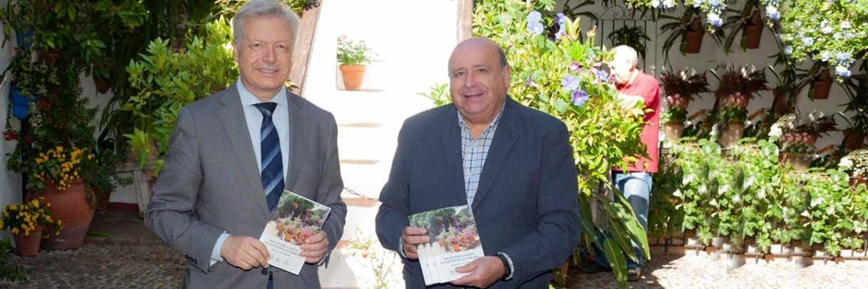 Publicamos un estudio histórico y antropológico de la tradición de Los Patios de Córdoba