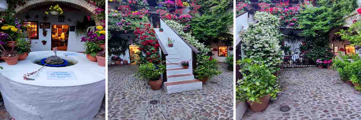 Patios premiados en 2024